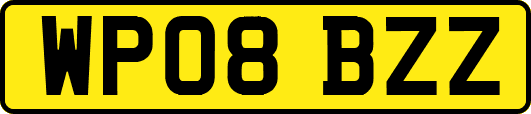 WP08BZZ