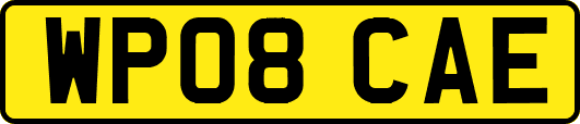 WP08CAE