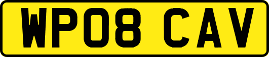 WP08CAV