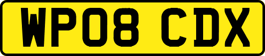 WP08CDX
