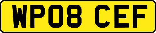 WP08CEF