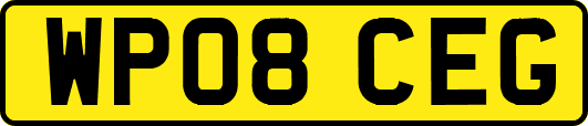 WP08CEG