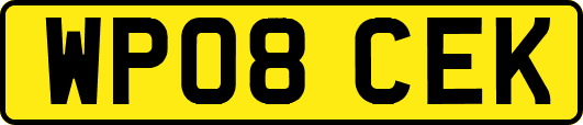 WP08CEK