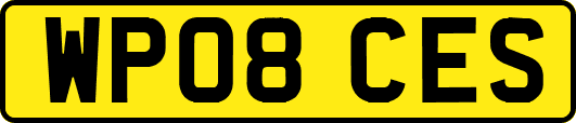WP08CES