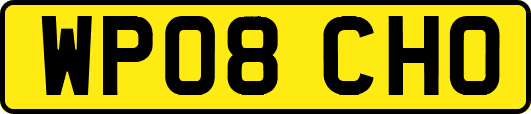 WP08CHO