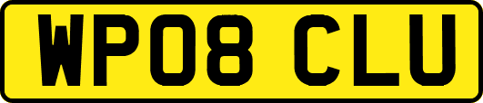 WP08CLU