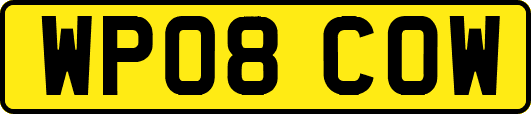 WP08COW