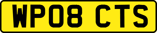 WP08CTS