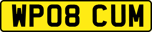 WP08CUM
