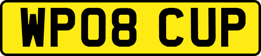 WP08CUP