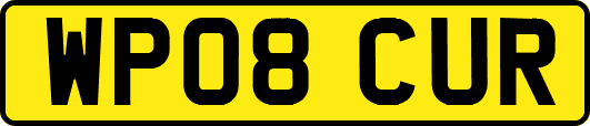 WP08CUR