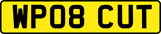 WP08CUT
