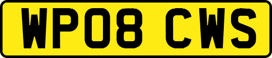 WP08CWS