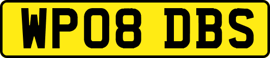 WP08DBS