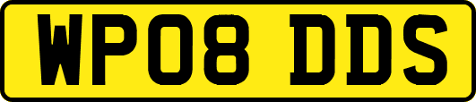 WP08DDS