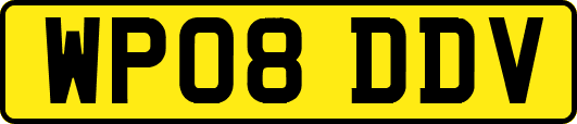 WP08DDV