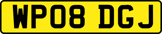 WP08DGJ