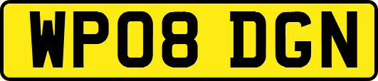 WP08DGN