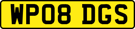 WP08DGS