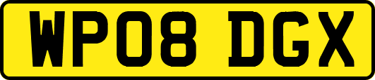 WP08DGX