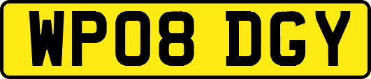 WP08DGY