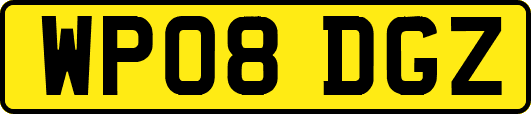 WP08DGZ