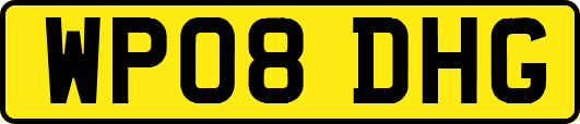 WP08DHG