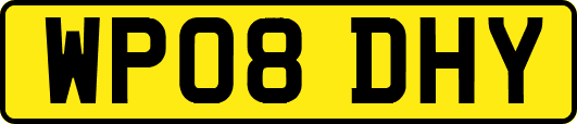 WP08DHY