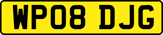 WP08DJG