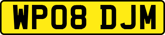 WP08DJM