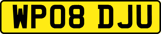 WP08DJU