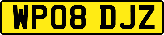 WP08DJZ