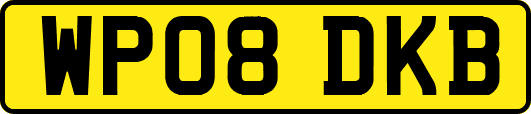 WP08DKB