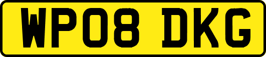 WP08DKG