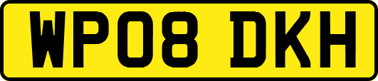 WP08DKH