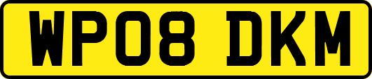 WP08DKM