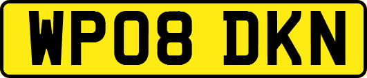 WP08DKN