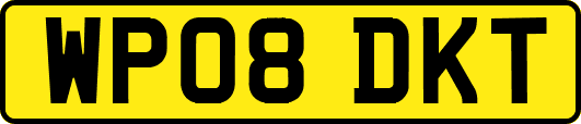 WP08DKT