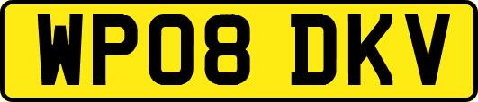 WP08DKV