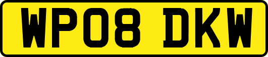 WP08DKW