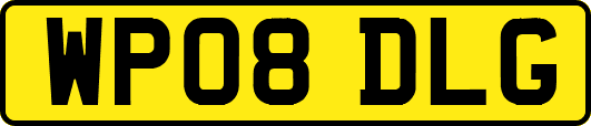 WP08DLG