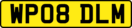 WP08DLM