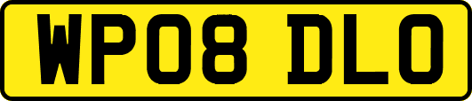 WP08DLO