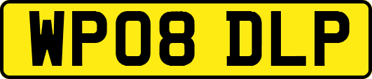 WP08DLP