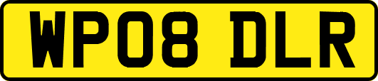 WP08DLR