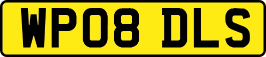 WP08DLS