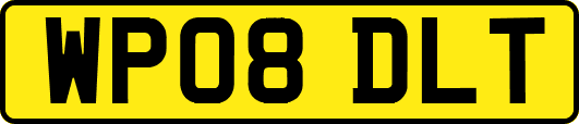 WP08DLT