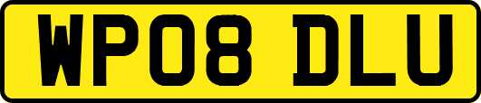 WP08DLU