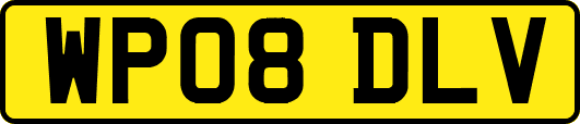 WP08DLV