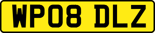WP08DLZ